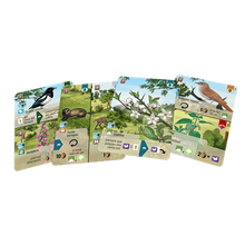 Cargar imagen en el visor de la galería, Forest Shuffle: Linde del bosque

